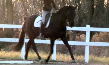 photo par LevelUp S. soso and me again <3
