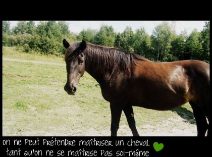 Zimba <333
