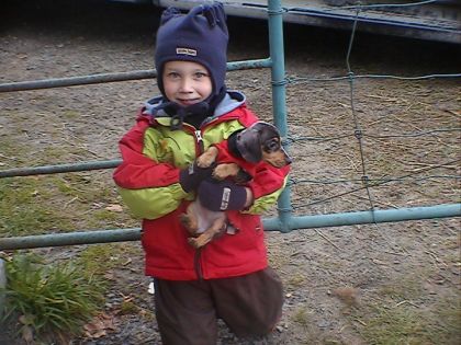 mon ti frÈere aiik le chien du vet de lécurie