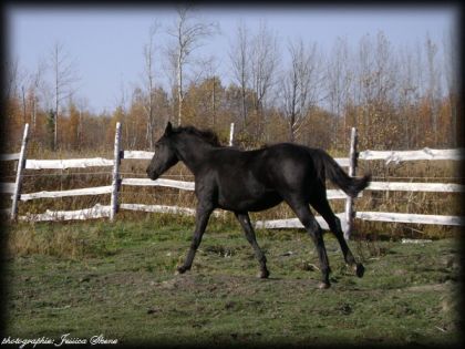 petit bébé nara :P