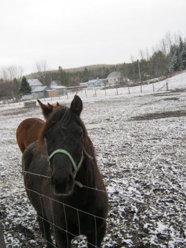 Mon gros noir  :)