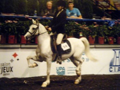 moi et un peoney a mon pere B.F. COMING UP ROSE en concours de...