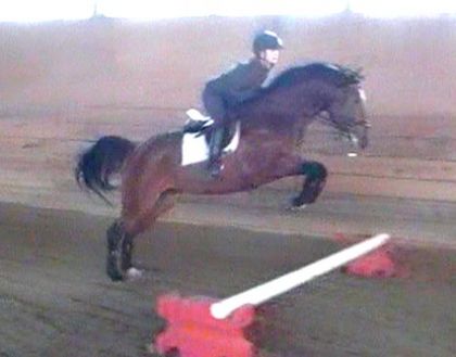 pas de commentair sur ma position , moi je fais de dressage :P