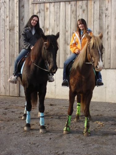 Deux cavalière et leur monture