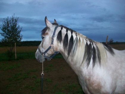 photo par gipsy28