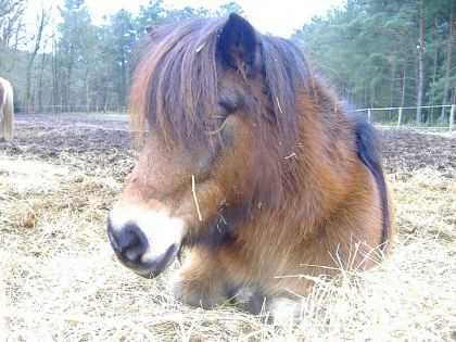 photo par VaVa92 Gros dodo de Maloute