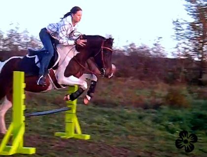Moi au saut avec Tornade, 4 ans :) Son premier 2 pieds 1/2. Je...