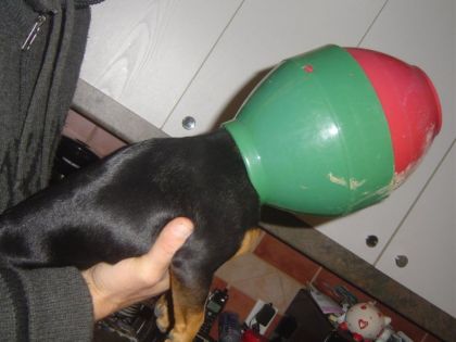 peggy pt probleme