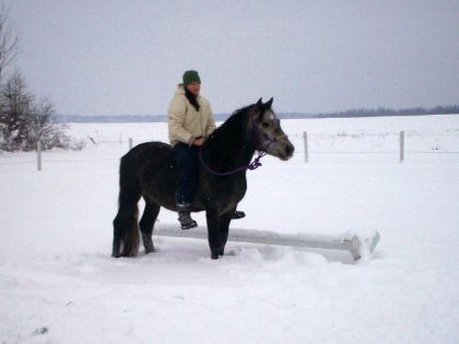 midnight et moi en hiver