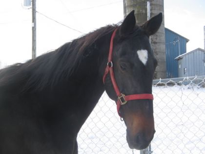 Calypso qui fait les yeux doux <3