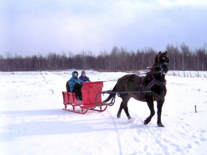 En promenade avec magrosse Canadienne Cognac