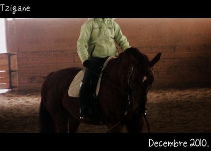 19 décembre 2010 :)
