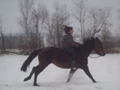 photo par Genevieve1