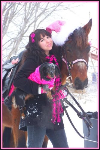 joyeux noel a tous!    21-12-2010