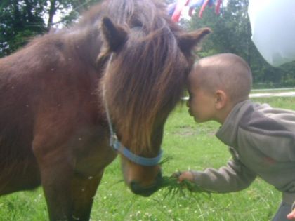 Mon fils Hugo avec son poulain-poney Surprise ! :)