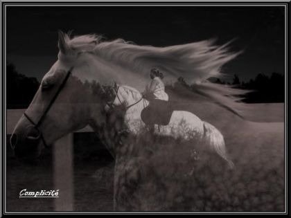 Mon percheron et moi. Longue vie à nous 2!  :)