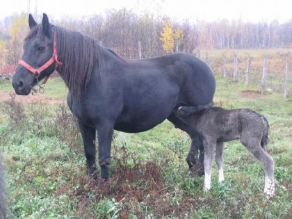Princesse (27 ans) et Bella (1 jour) =)