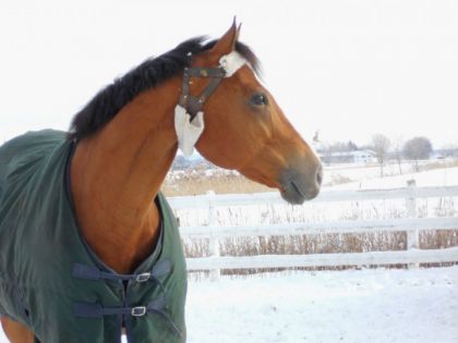 Mon beau Toune :) <3