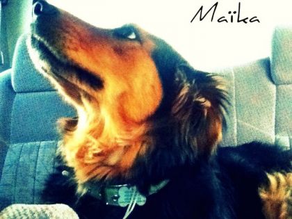 Maïka!