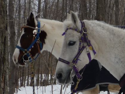 &Agrave; une trail du club de Mascouche, 14 f&eacute;vrier 2010