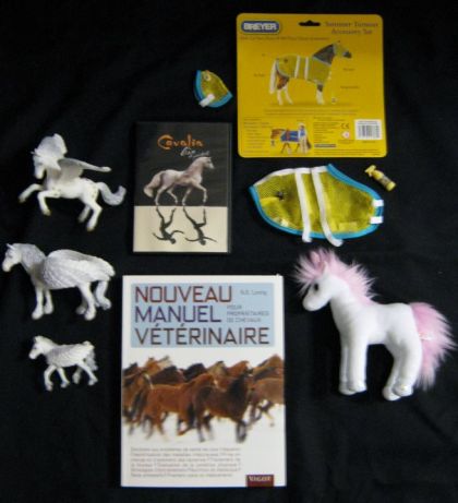 Voici Tout Mes Cadeaux De Noel En Rapport Avec Les Chevaux !...