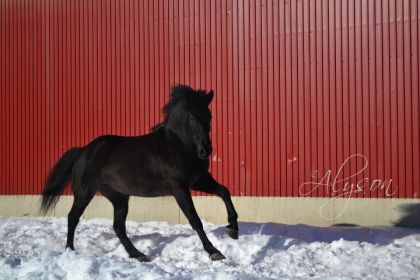 Par une froide journée d'hiver 