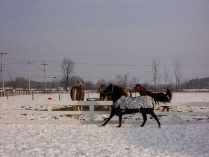 photo par megane15