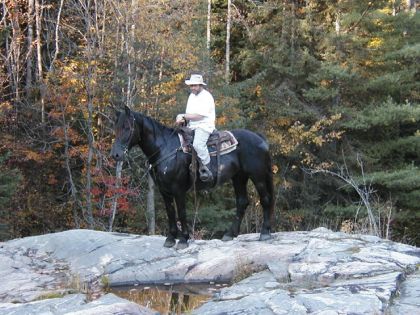 Cheval et cavalier en randonnée à l'arrêt