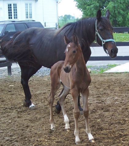 Première sortie avec maman (photo de la membre Gandalphe)