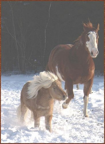 2 grands chums...