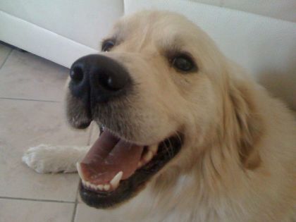 Encore mon Figo :)
