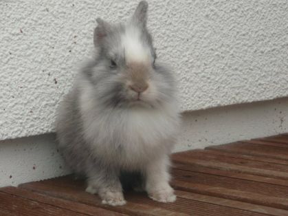 ma petite sucrette qui pose
