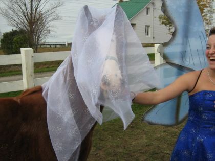 Ti-cul avec un voile de marié lol halloween 2007