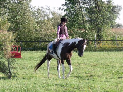 Entrainement de Satine été 2010 