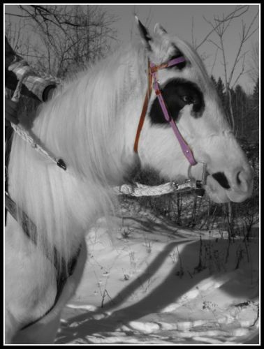 Shooting Photo . Décembre 2010