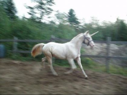 photo par PERLINO