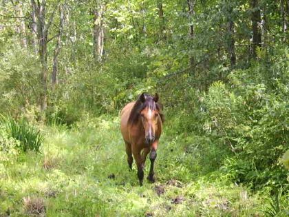 photo par sweet all