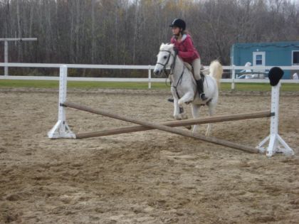 Moi et Casper dans mon cours du 3 novembre :)  P.S : toute les...