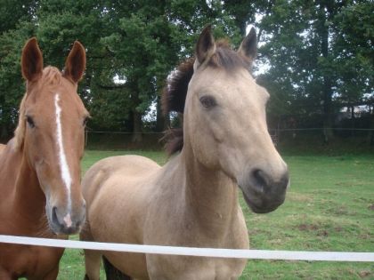 photo par matou76