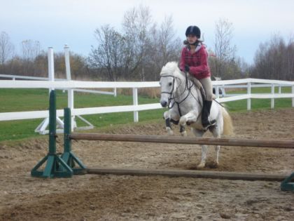 Moi et Casper dans mon cours du 3 novembre :)  P.S : toute les...