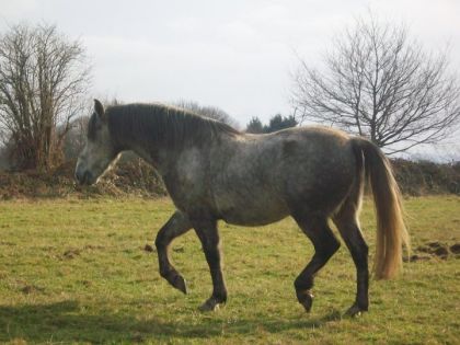 Raedja avait 3ans ( il n'etait pas a moi)