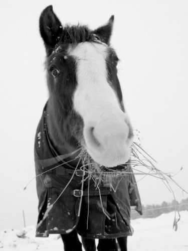Je t'aime gros, déjà 3 ans :)