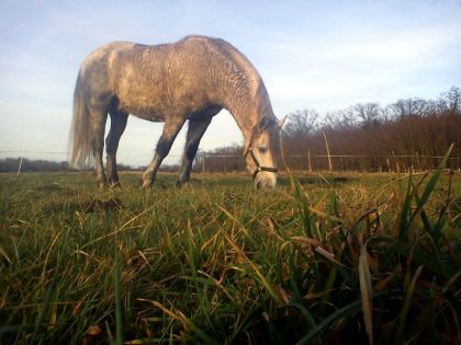 Sous un soleil de printemps non je rigole 