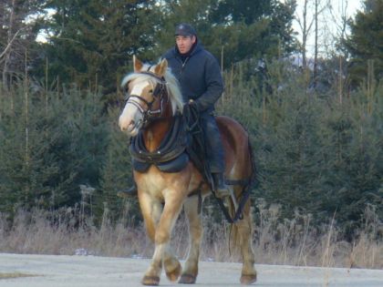 Homme en selle sur une jument 