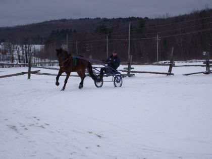 mon poulain withemountain king