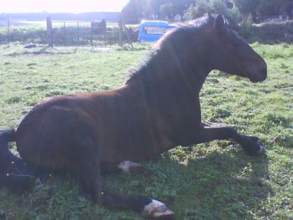Mon p'tit Prince coucher