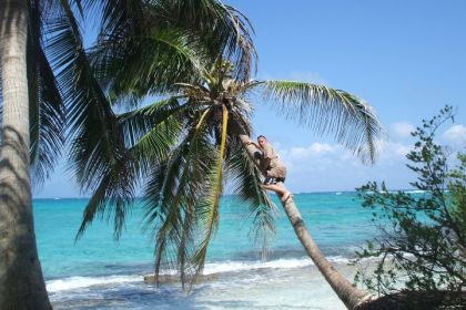 moi qui fait le singe au paradis