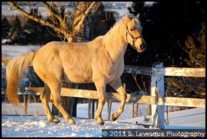 photo par WildTime