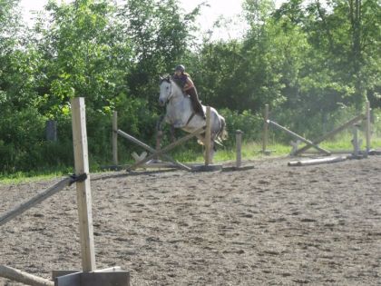 Saut d'obstacle avec Dahlia