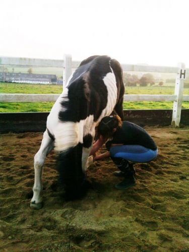 Moi et ma jument Chipie :)